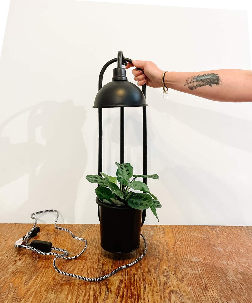 Kira Grow Light